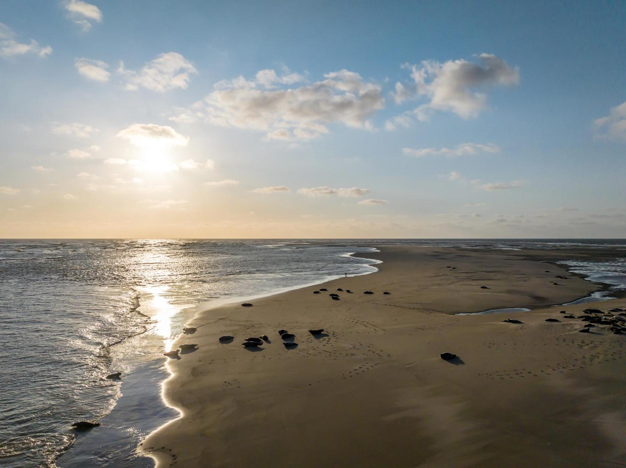 Hotel Renesse Exteriör bild